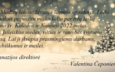 Ledo kristalais papuoštu miško keliu per tylų laiką ateina šv. Kalėdos ir Naujieji 2022 metai