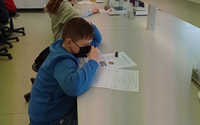 Vyko 5-8 klasių mokyklinė biologijos olimpiada