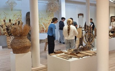 Lietuvių kalbos pamoka „Lietuvių liaudies ornamentai ir simbolika“
