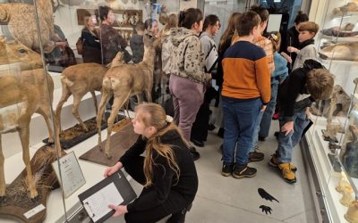 5a ir 8a klasių mokiniai, vykdant ilgalaikę TŪM programą, vyko į Vilnių.