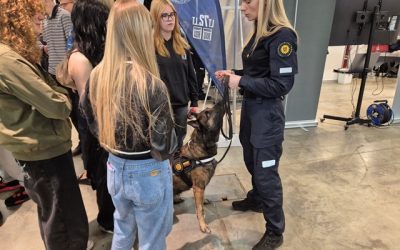 Karjera ir studijos Lietuvoje 2025